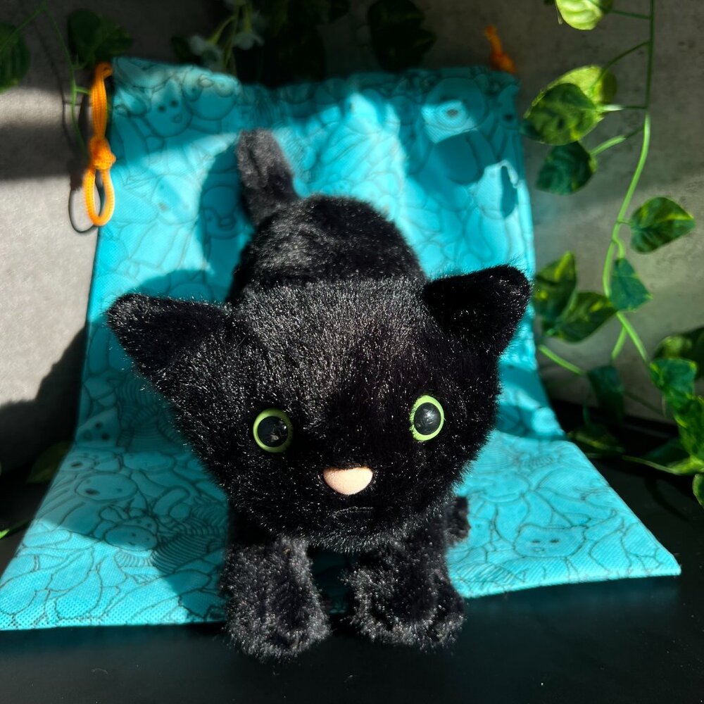 Jellycat Spookipaws Cat BNWT Halloween 2025 🐈‍⬛